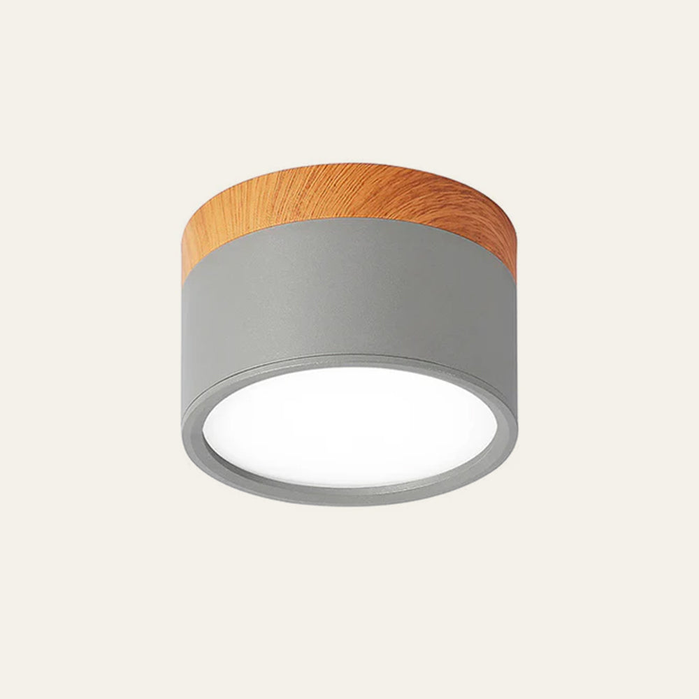 Minimalist LED Ceiling Light Compact Home