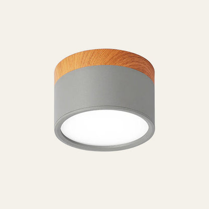 Minimalist LED Ceiling Light Compact Home