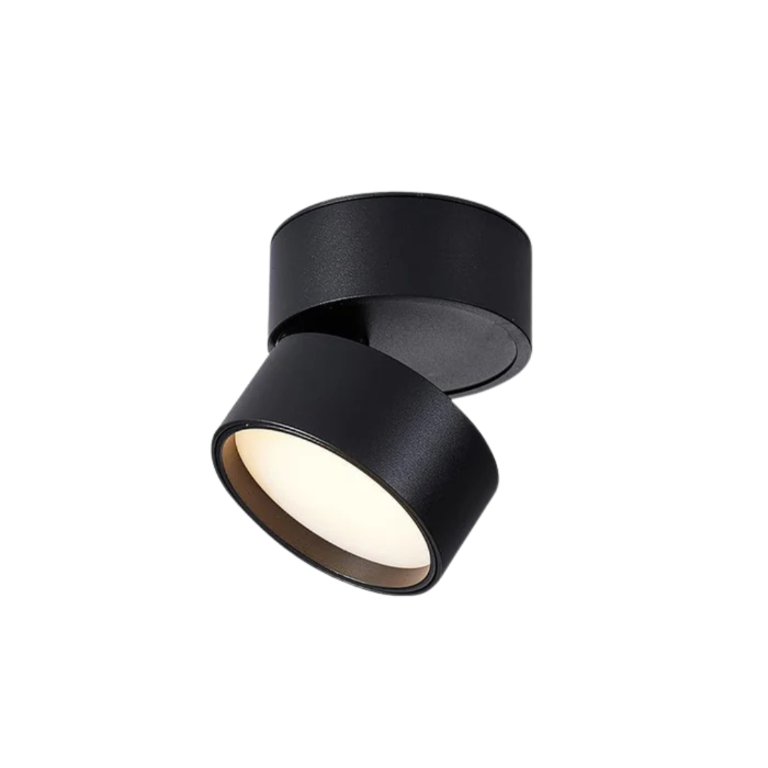 Adjustable LED Ceiling Spotlight or Home Use