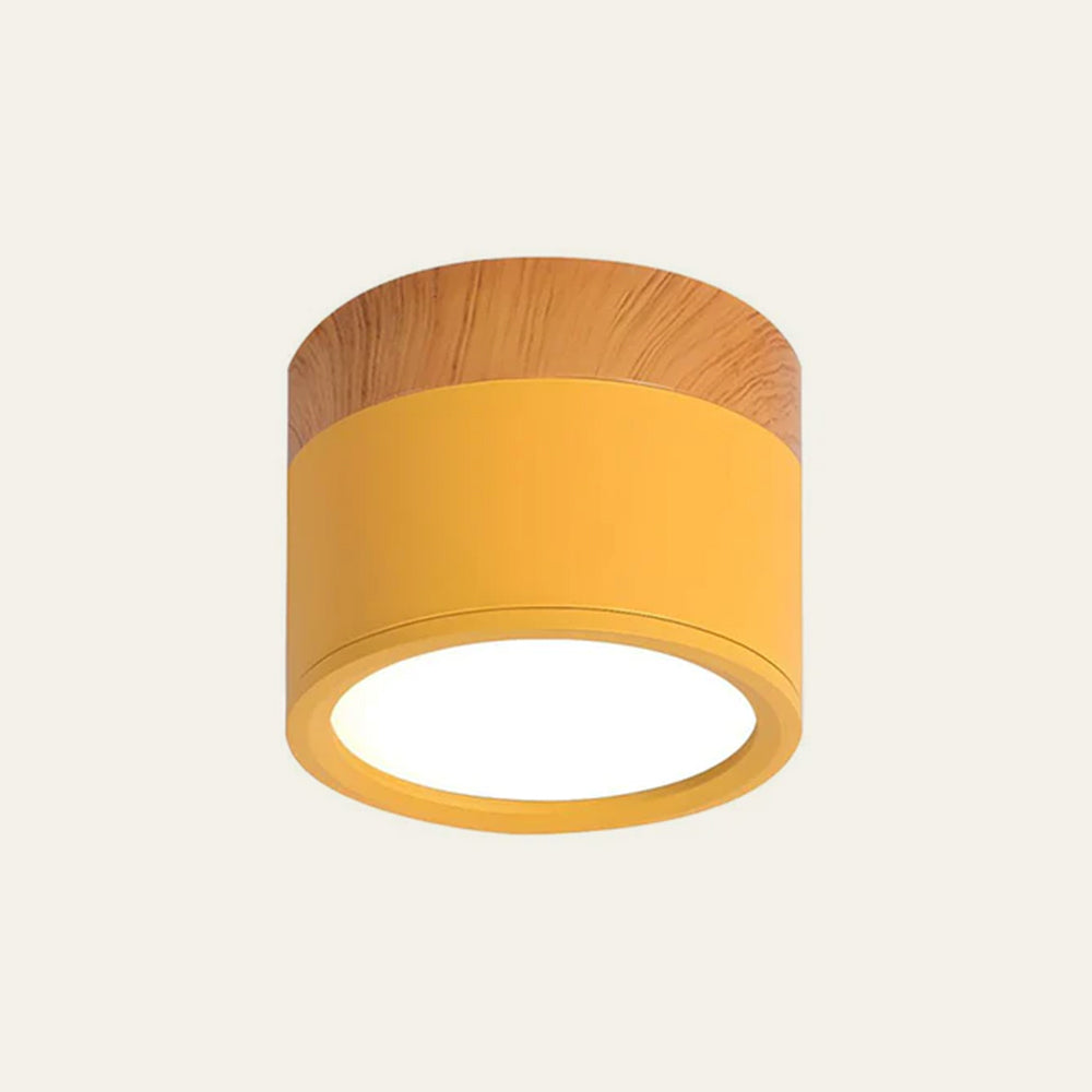 Minimalist LED Ceiling Light Compact Home