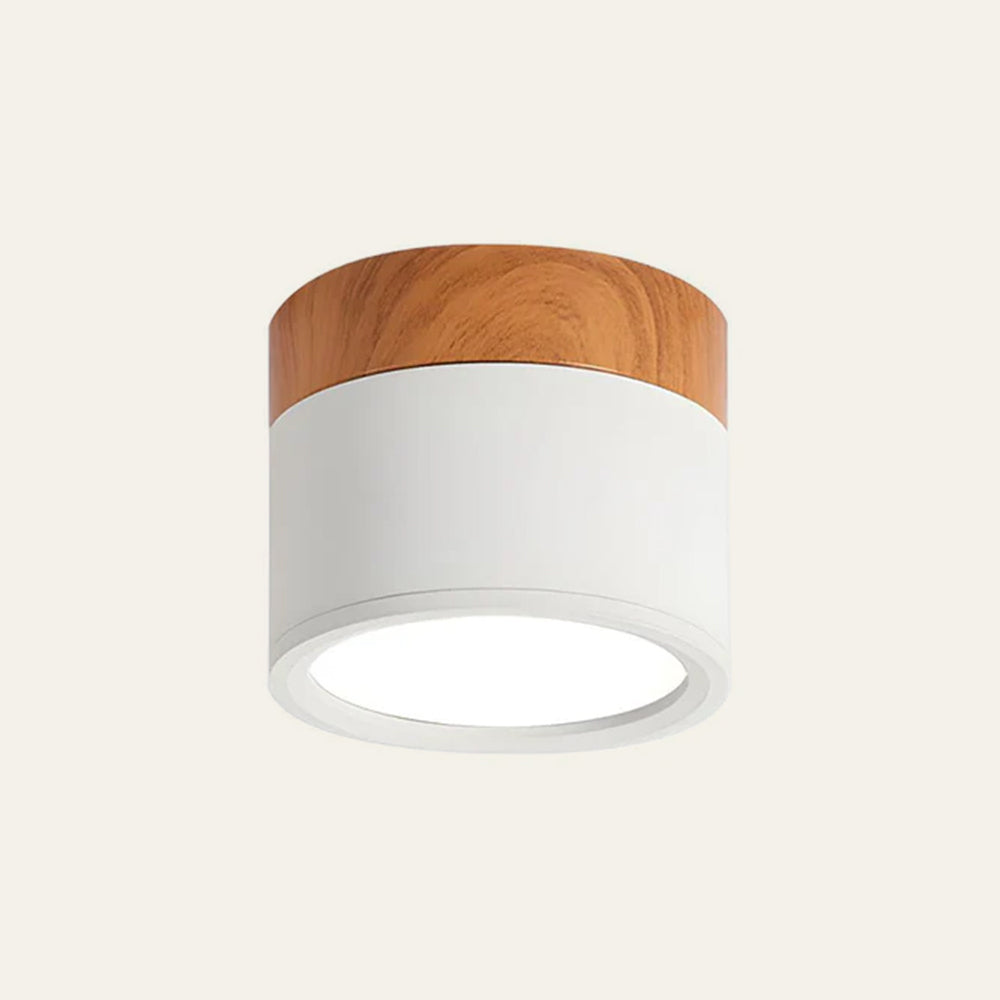 Minimalist LED Ceiling Light Compact Home