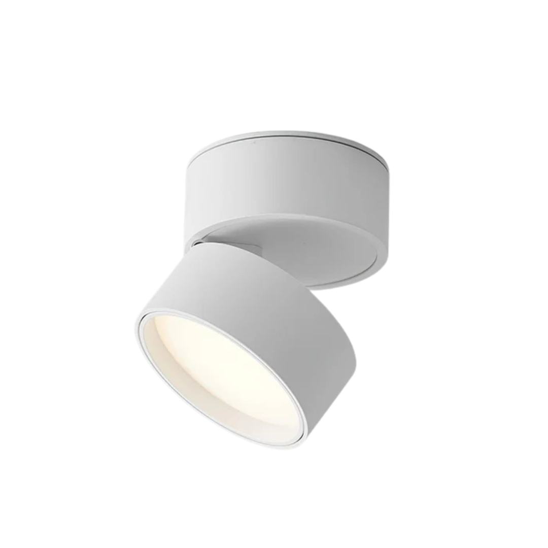 Adjustable LED Ceiling Spotlight or Home Use