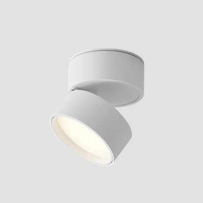Adjustable LED Ceiling Spotlight or Home Use