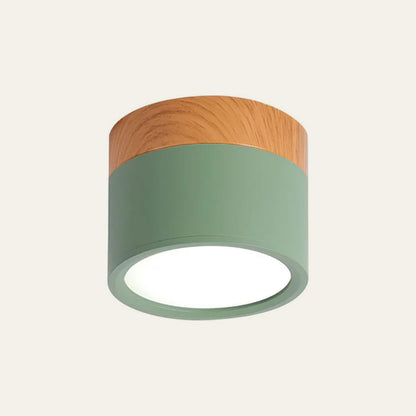 Minimalist LED Ceiling Light Compact Home