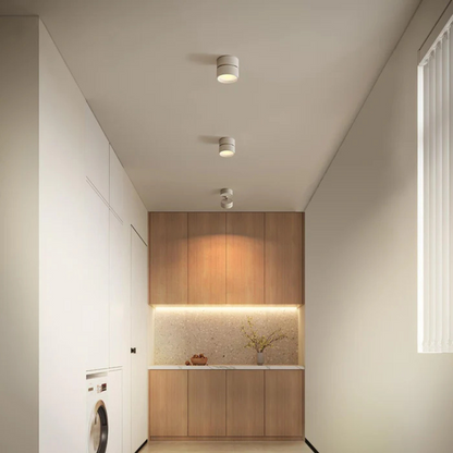 Adjustable LED Ceiling Spotlight or Home Use