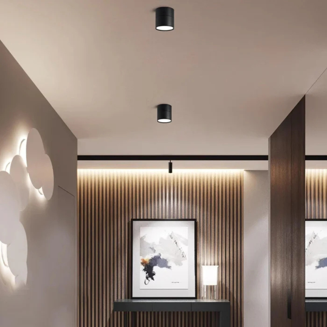 Adjustable LED Ceiling Spotlight or Home Use