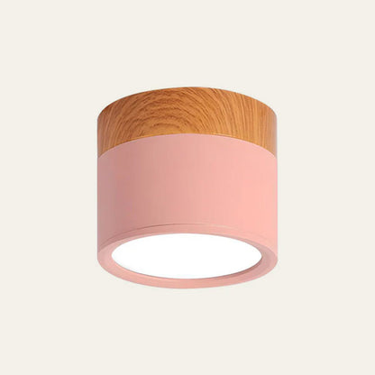 Minimalist LED Ceiling Light Compact Home