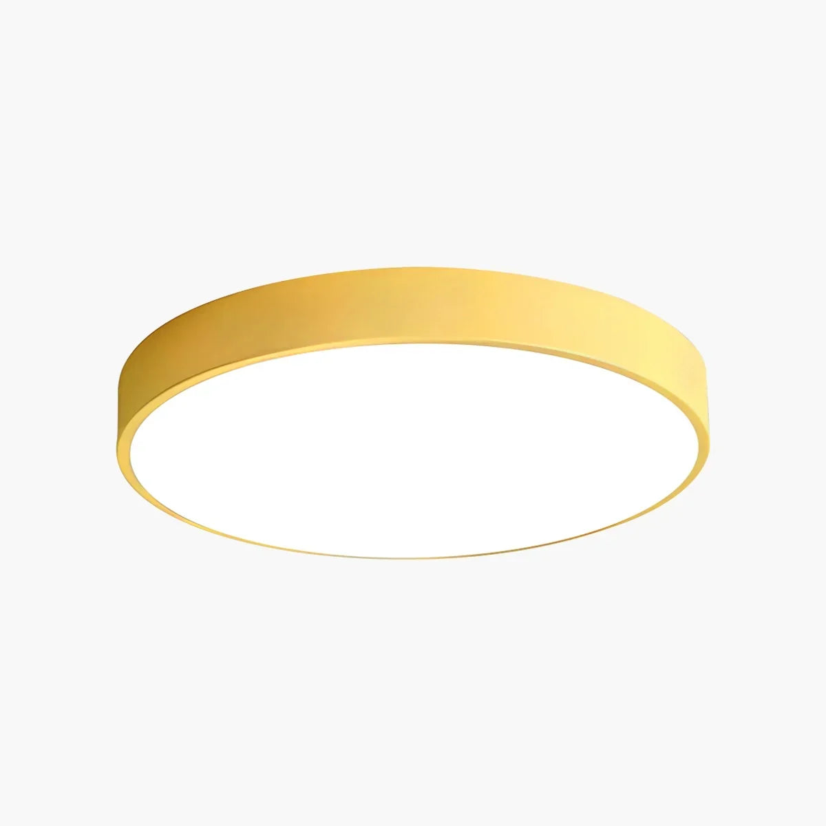 Round LED Ceiling Light Slim Profile Diffused Light