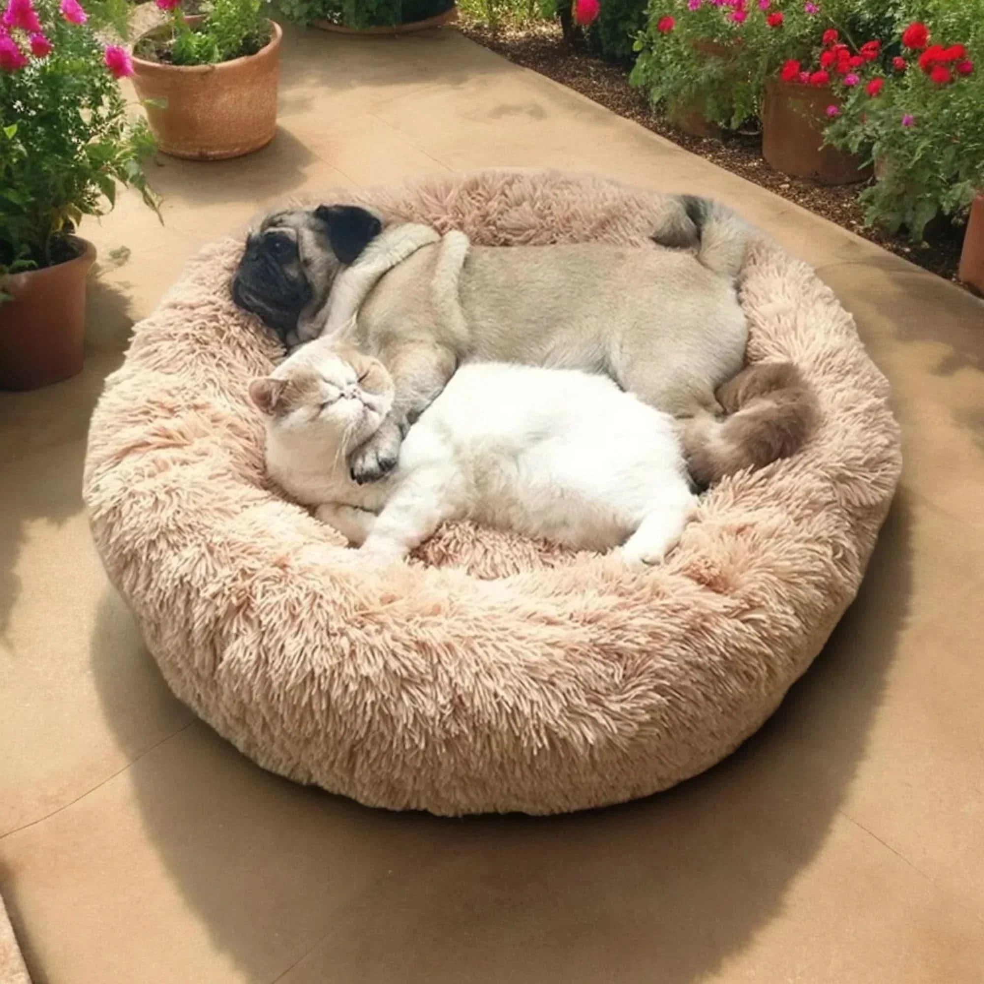 Orthopaedic Dog Bed – Soft Plush – Washable Cover