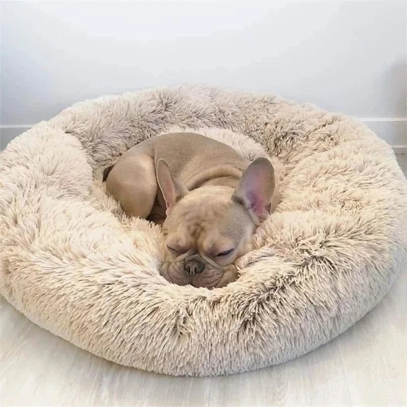 Orthopaedic Dog Bed – Soft Plush – Washable Cover