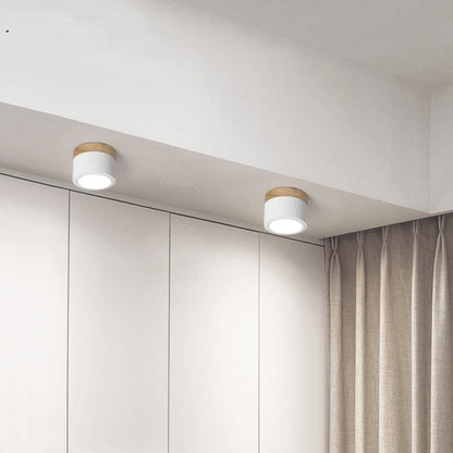 Minimalist LED Ceiling Light Compact Home