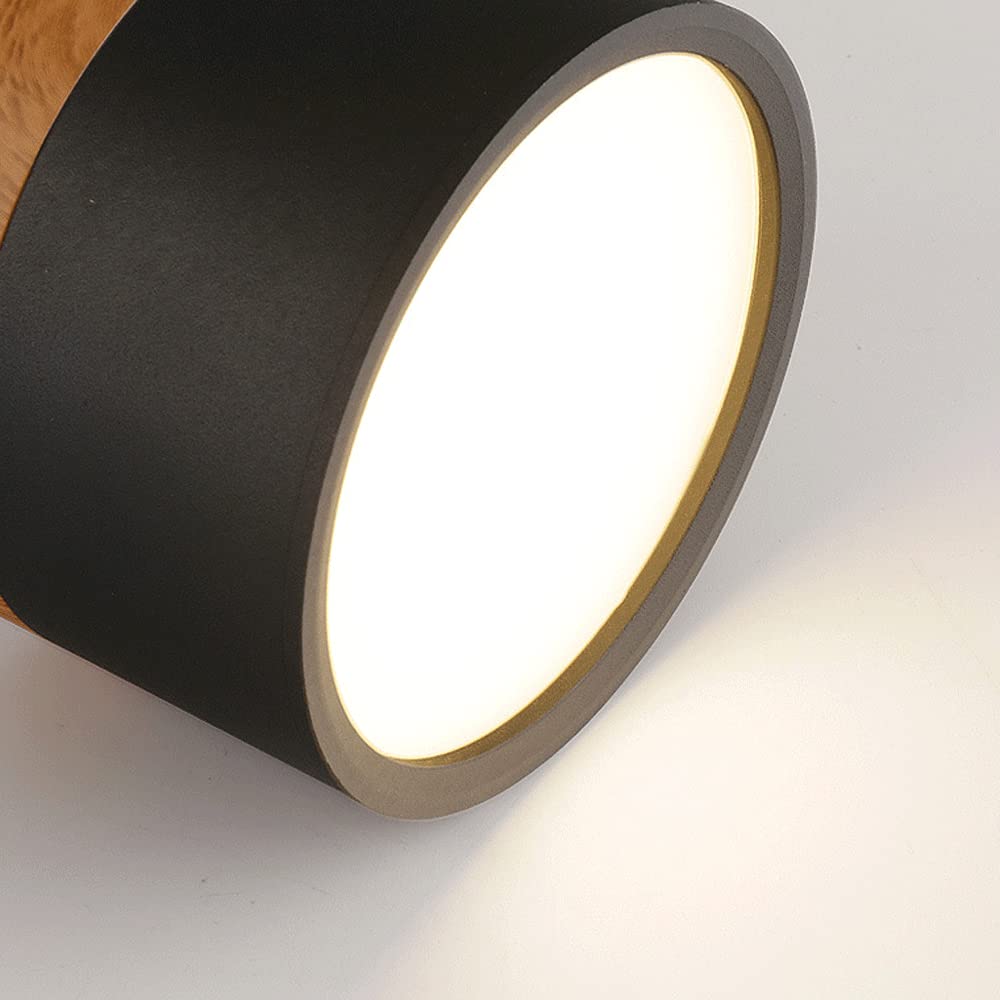 Minimalist LED Ceiling Light Compact Home