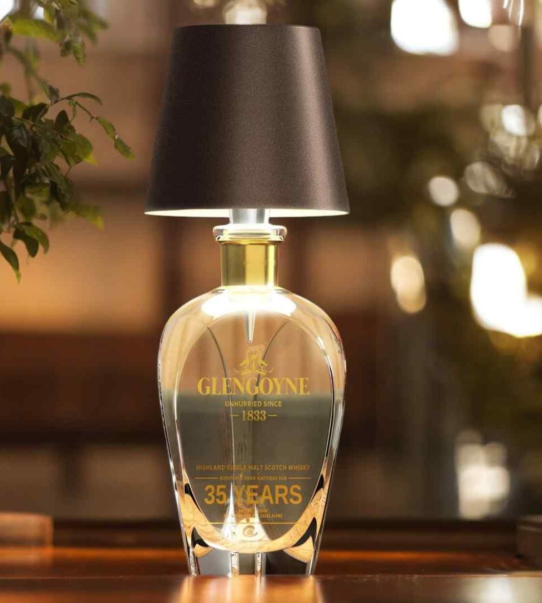 Bottle Lamp Wireless Adjustable Light