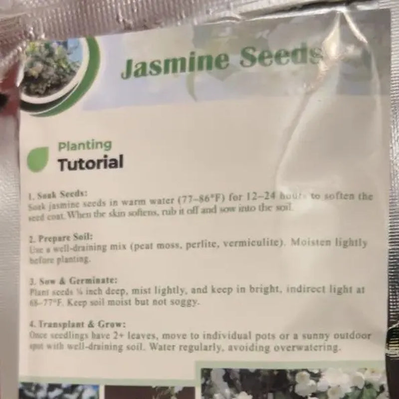 【Seeds】Climbing Jasmine Flower Seeds for Planting-Non-Gmo Jasmine Gardenia Plant Fragrant Flower Garden Home Trailing Jasmine Seeds Summervibes