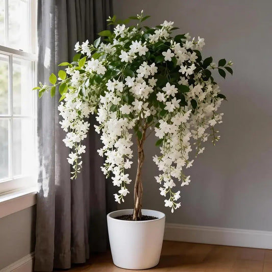 【Seeds】Climbing Jasmine Flower Seeds for Planting-Non-Gmo Jasmine Gardenia Plant Fragrant Flower Garden Home Trailing Jasmine Seeds Summervibes