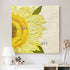 Fancy Home Decor Hot Sale Home Decor Flower Pictures Pieces White Flower Wall Art Oil Paintings Unframed
